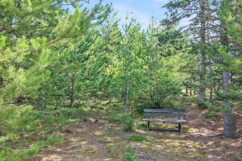 Foto von Ferienhaus SW30 in Blokhus - Nordjütland