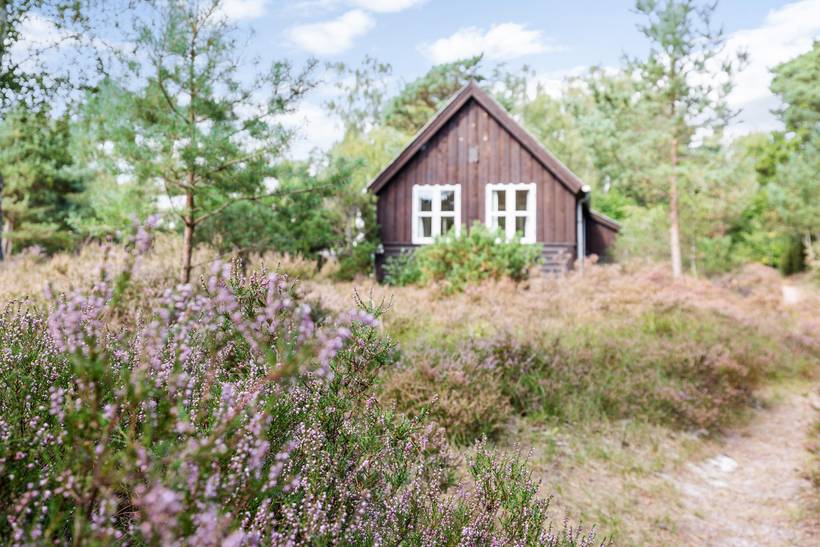 Foto von Ferienhaus SX09 in Dueodde - Bornholm