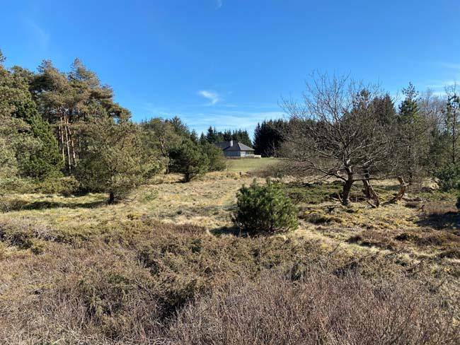 Foto von Ferienhaus SX24 in Svinkløv - Slettestrand - Nordjütland
