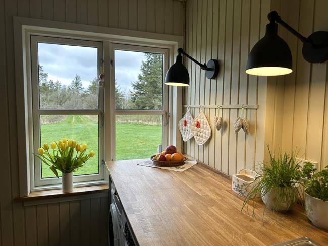 Foto von Ferienhaus SX24 in Svinkløv - Slettestrand - Nordjütland