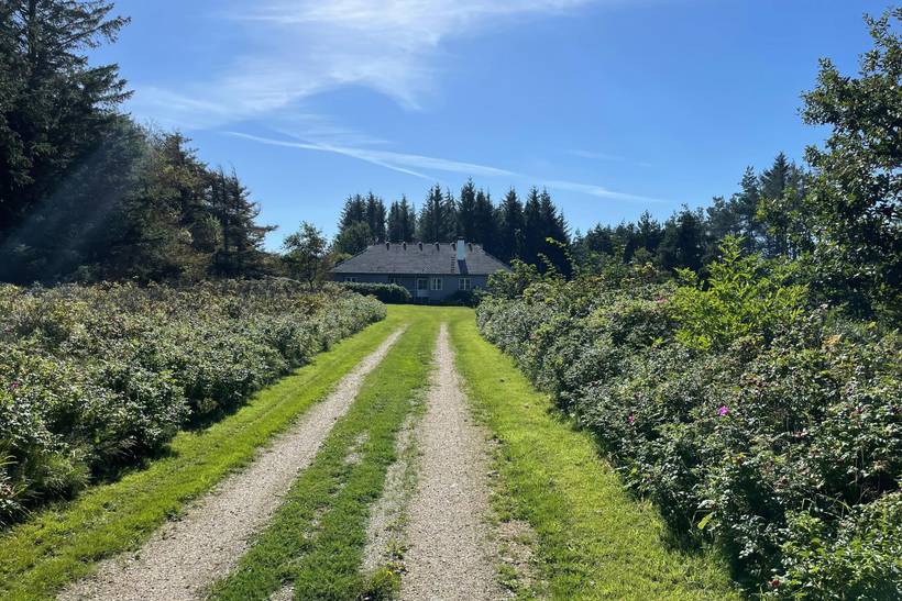 Foto von Ferienhaus SX24 in Svinkløv - Slettestrand - Nordjütland