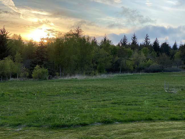 Foto von Ferienhaus SX24 in Svinkløv - Slettestrand - Nordjütland