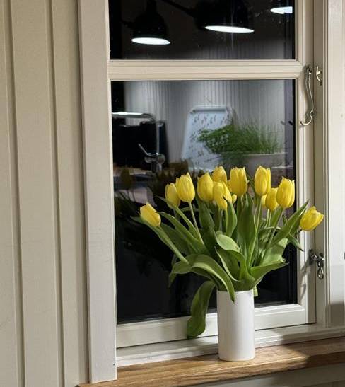 Foto von Ferienhaus SX24 in Svinkløv - Slettestrand - Nordjütland