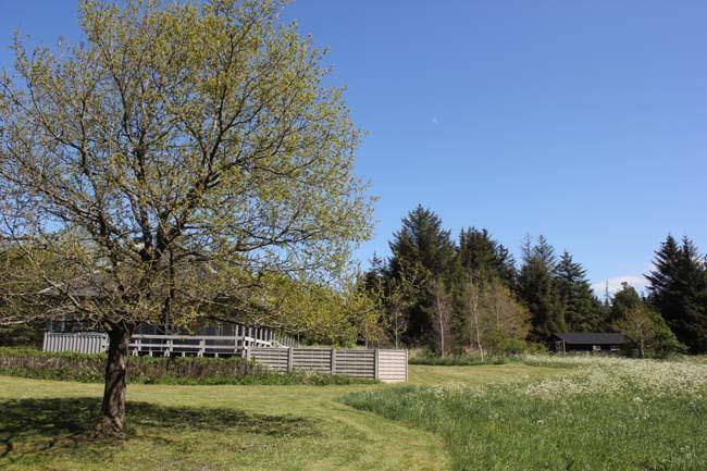 Foto von Ferienhaus SX24 in Svinkløv - Slettestrand - Nordjütland