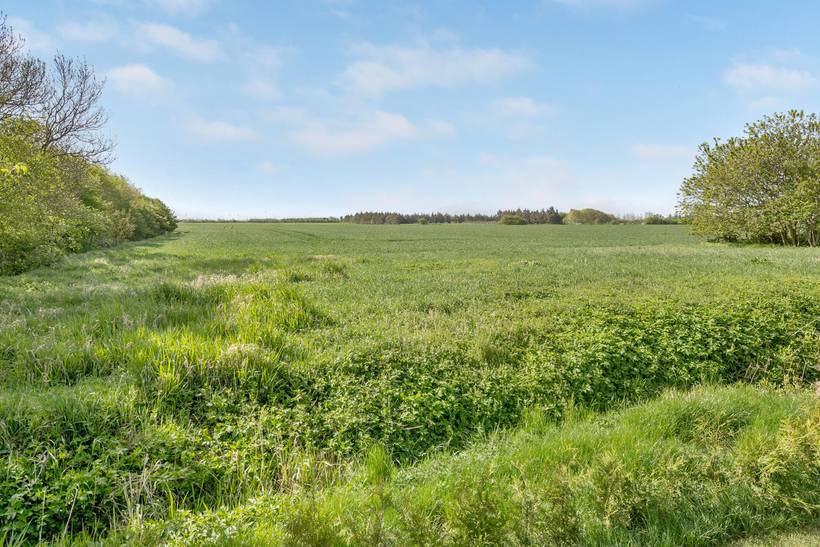 Foto von Ferienhaus SX25 in Ballum - Südjütland