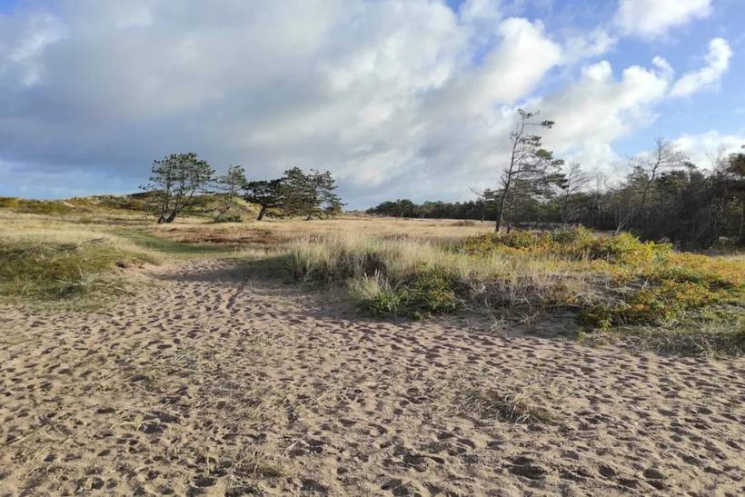 Foto von Ferienhaus SX87 in Rågeleje - Nordseeland