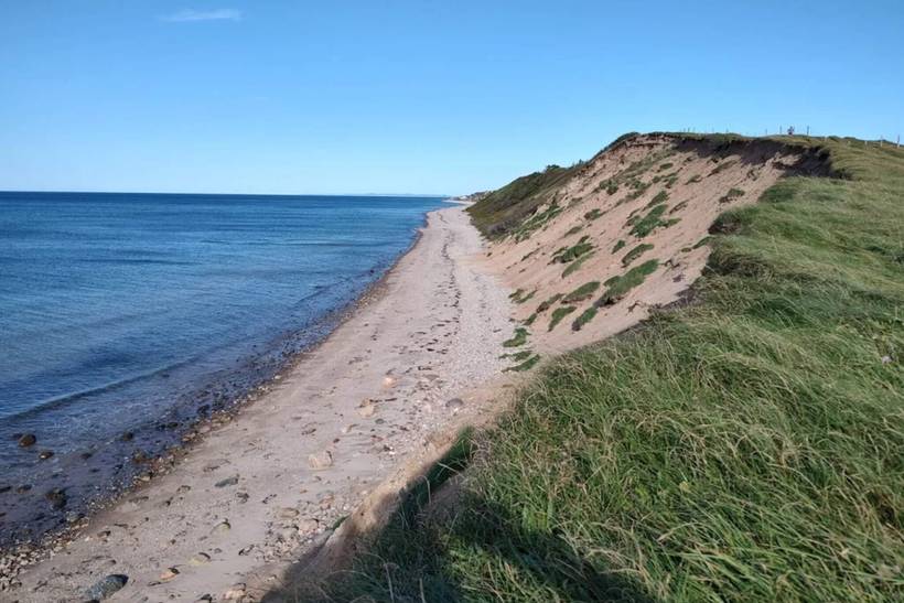 Foto von Ferienhaus SX87 in Rågeleje - Nordseeland