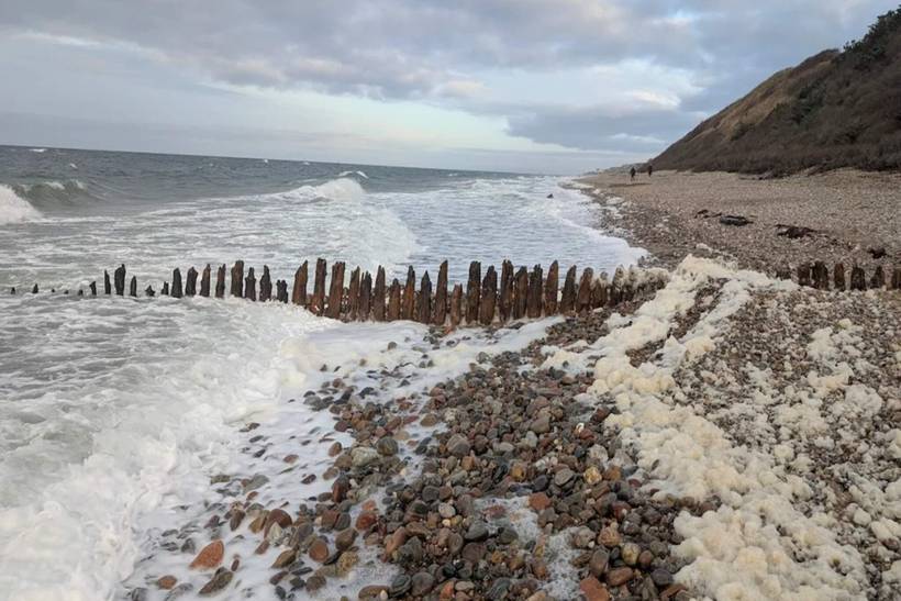Foto von Ferienhaus SX87 in Rågeleje - Nordseeland