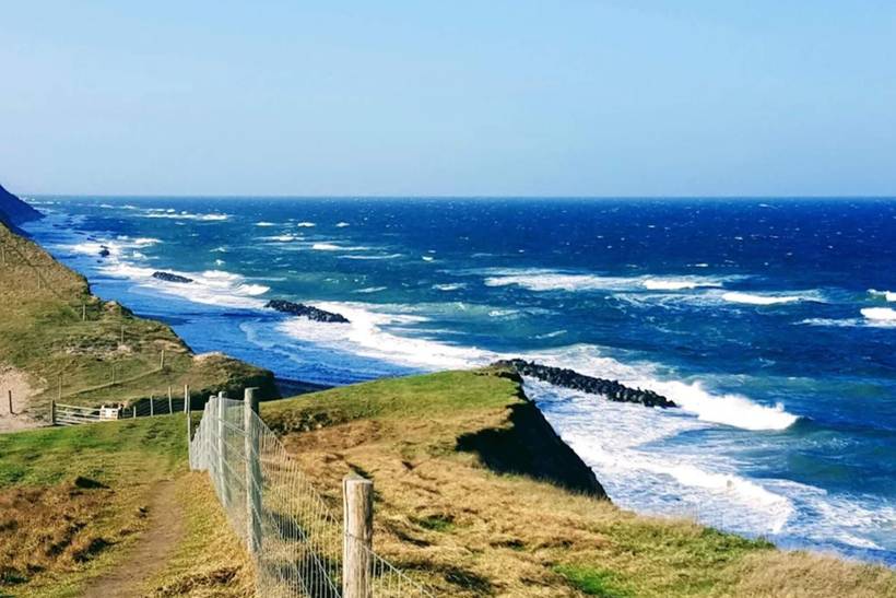 Foto von Ferienhaus SX87 in Rågeleje - Nordseeland