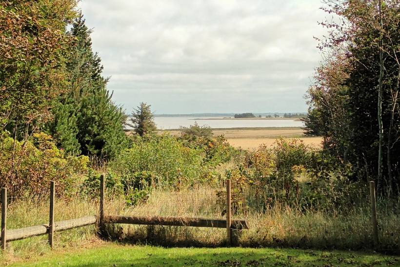Foto von Ferienhaus SY07 in Fjand - Westjütland