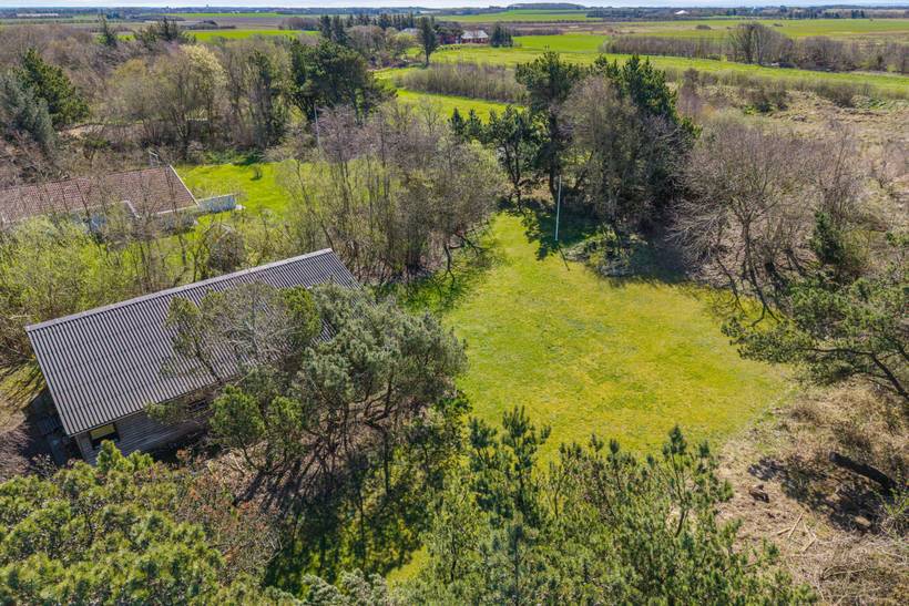 Foto von Ferienhaus SZ26 in Lodbjerg Hede - Søndervig - Westjütland