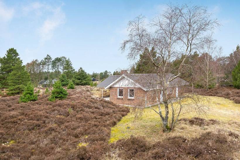 Foto von Ferienhaus SZ54 in Kromose - Rømø