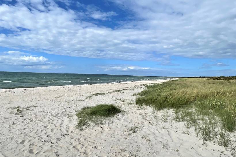 Foto von Ferienhaus SZ60 in Sejerø Bugt - Westseeland