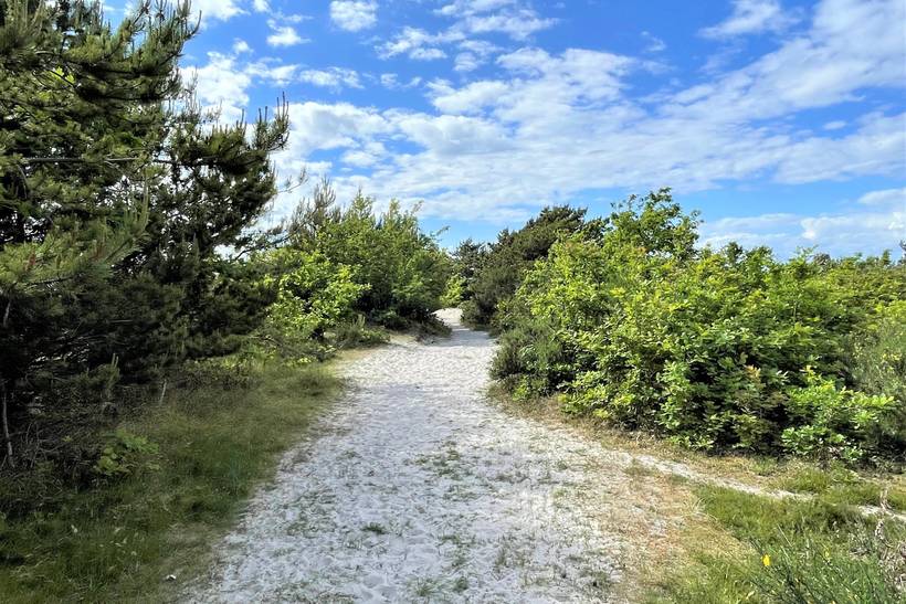 Foto von Ferienhaus SZ60 in Sejerø Bugt - Westseeland
