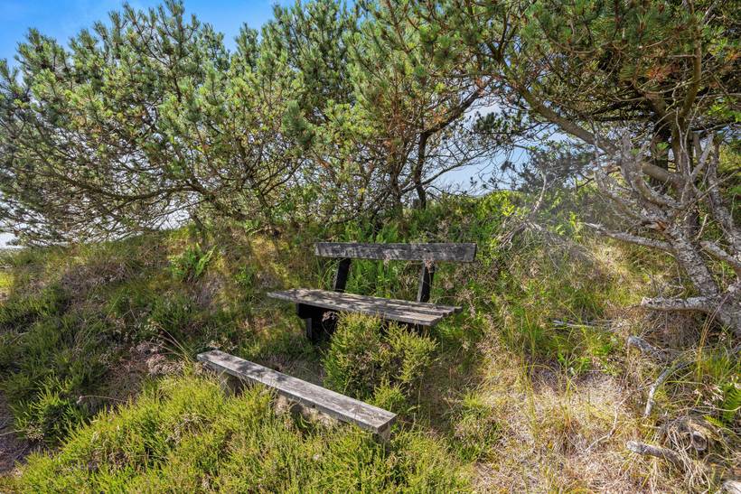 Foto von Ferienhaus TA20 in Henne Strand - Westjütland