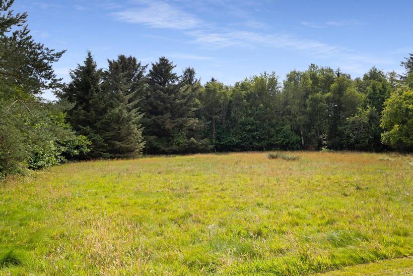 Foto von Ferienhaus TB14 in Blåvand - Westjütland