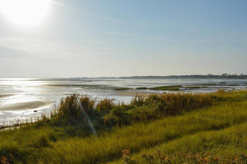 Foto von Ferienhaus TB56 in Kromose - Rømø