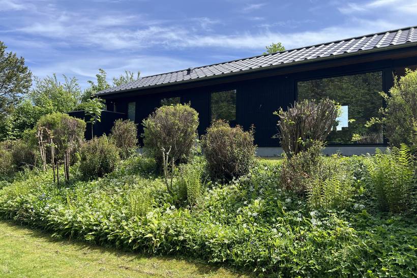 Foto von Ferienhaus TB59 in Svaneke - Bornholm