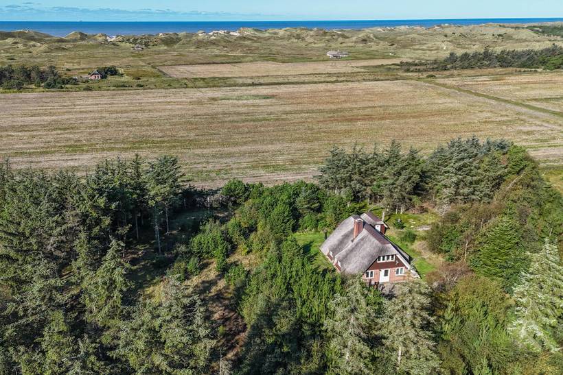 Foto von Ferienhaus TC08 in Vester Husby - Westjütland