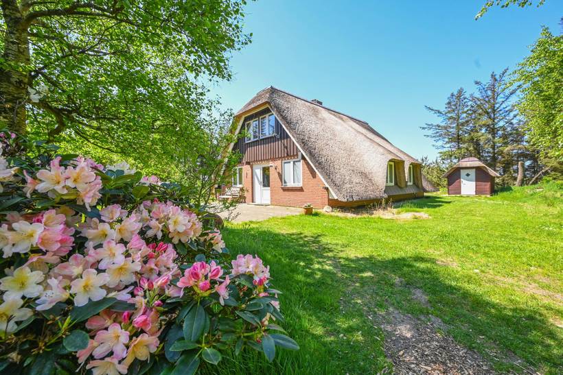 Foto von Ferienhaus TC08 in Vester Husby - Westjütland