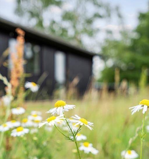 Foto von Ferienhaus TC20 auf Roskilde Fjord Kysten - Nordseeland