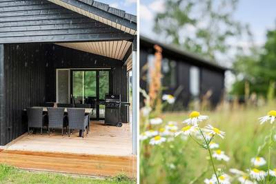 Vorschaubild von Ferienhaus TC20 auf Roskilde Fjord Kysten - Nordseeland