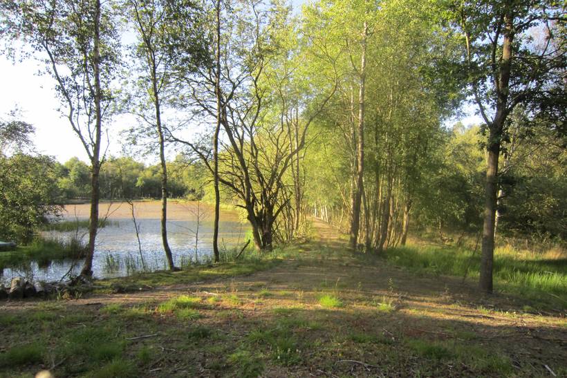 Foto von Ferienhaus TC42 in Silkeborg - Ostjütland