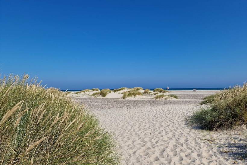 Foto von Ferienhaus TD33 in Gl. - Skagen - Nordjütland