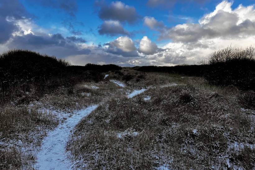 Foto von Ferienhaus TD33 in Gl. - Skagen - Nordjütland