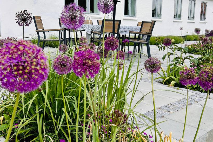 Foto von Ferienhaus TD82 in Helgenæs - Mols - Ostjütland