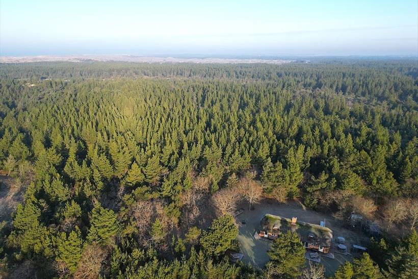 Foto von Ferienhaus TD89 in Vester Husby - Westjütland