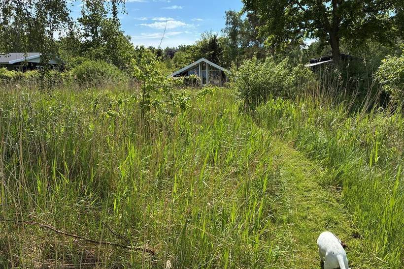 Foto von Ferienhaus TE06 in Kulhuse - Nordseeland