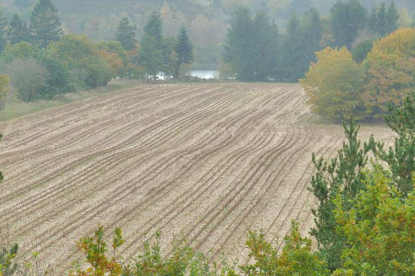 Foto von Ferienhaus TE28 in Bryrup - Ostjütland