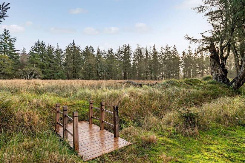 Foto von Ferienhaus TE33 in Vejers Strand - Westjütland