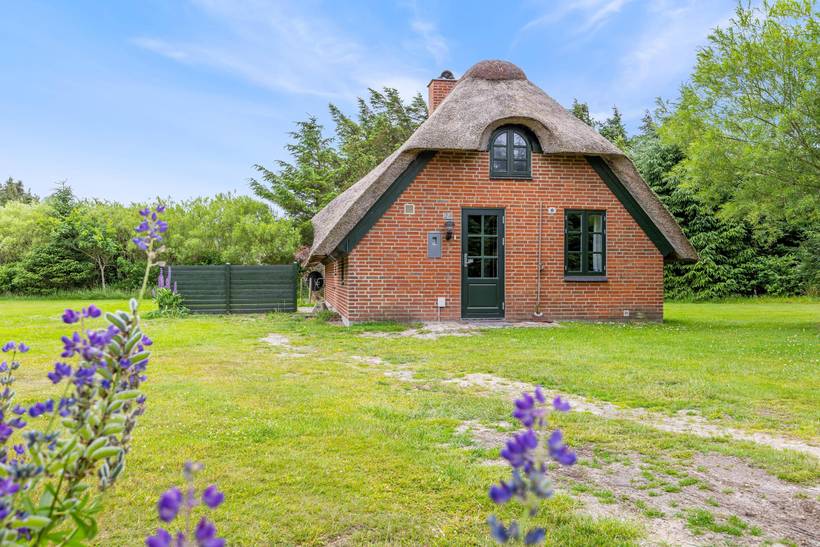 Foto von Ferienhaus TE42 in Vester Husby - Westjütland
