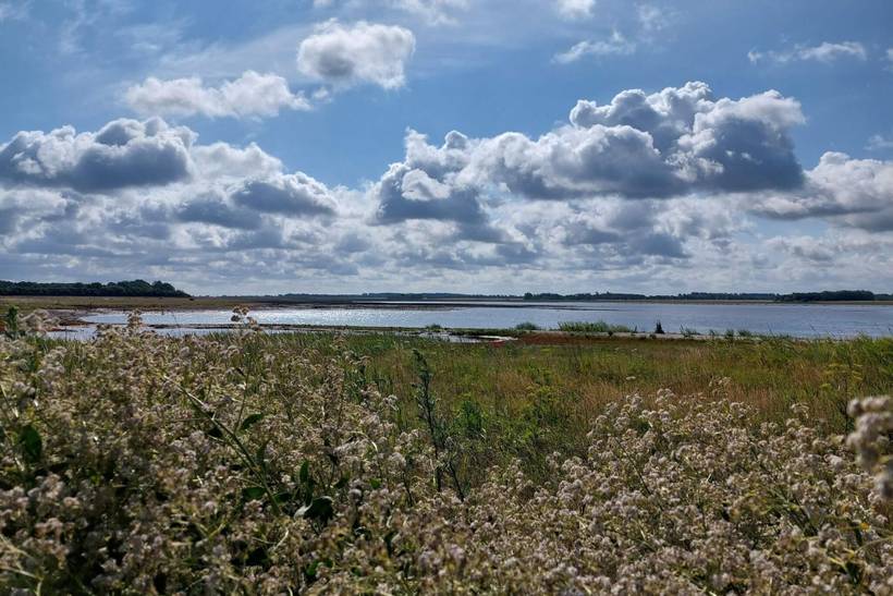 Foto von Ferienhaus TE59 in Vrist - Vejlby Klit - Westjütland