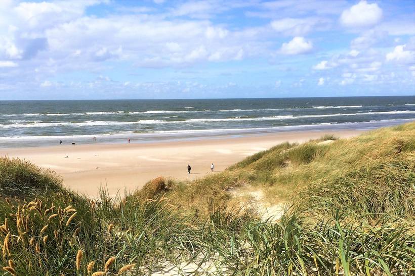 Foto von Ferienhaus TE74 in Grærup - Vejers Strand - Westjütland