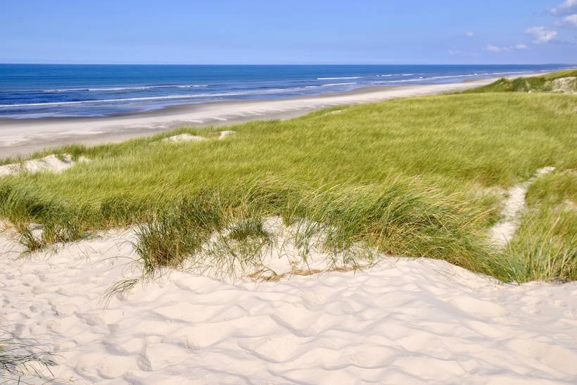 Foto von Ferienhaus TE74 in Grærup - Vejers Strand - Westjütland