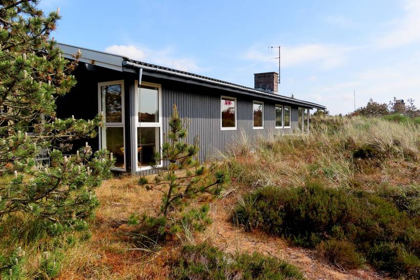 Foto von Ferienhaus TE74 in Grærup - Vejers Strand - Westjütland