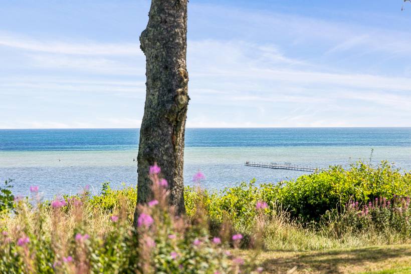 Foto von Ferienhaus TE97 in Øster Hurup - Nordjütland Ost