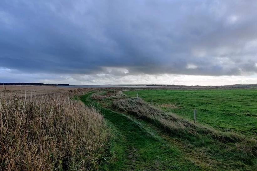 Foto von Ferienhaus TF04 in Bovbjerg - Vejlby Klit - Westjütland