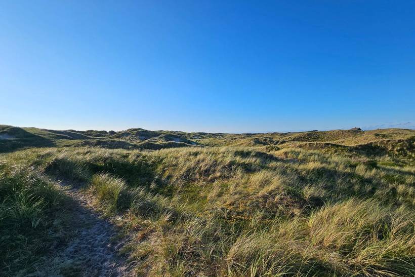 Foto von Ferienhaus TF10 in Lodbjerg Hede - Søndervig - Westjütland