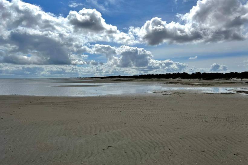 Foto von Ferienhaus TF34 in Øster Hurup - Nordjütland Ost