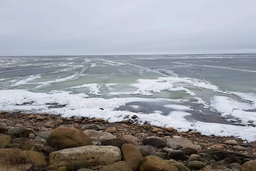Foto von Ferienhaus TF68 in Ringkøbing - Westjütland