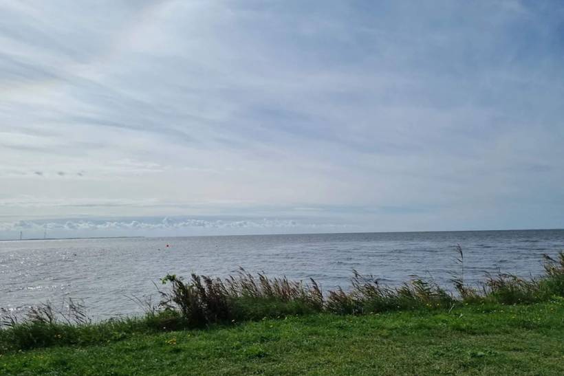 Foto von Ferienhaus TF68 in Ringkøbing - Westjütland
