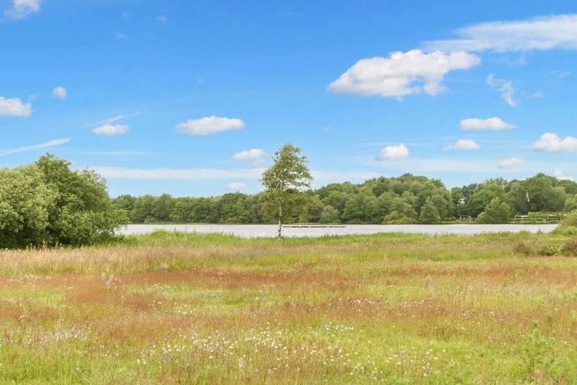 Foto von Ferienhaus TF93 in Kvie Sø - Westjütland