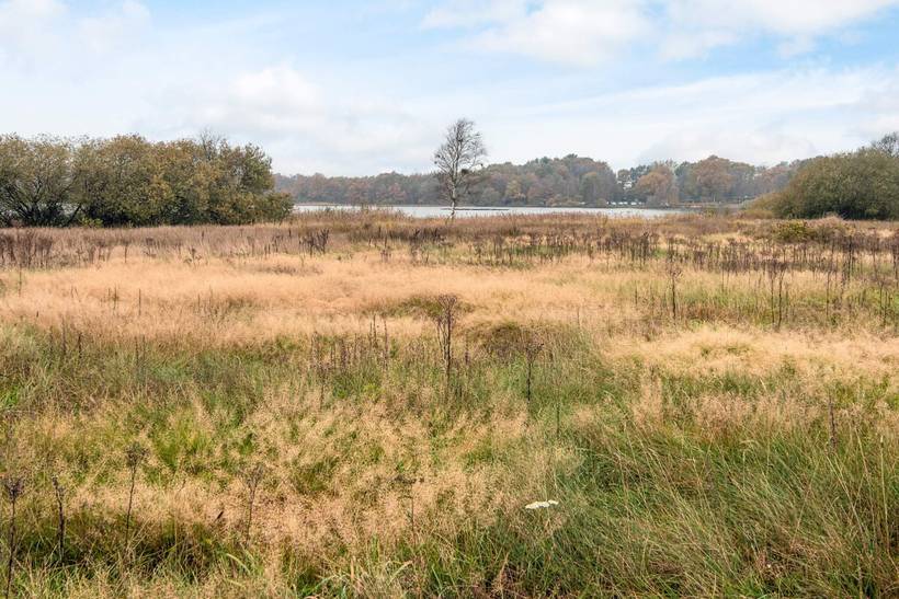 Foto von Ferienhaus TF93 in Kvie Sø - Westjütland