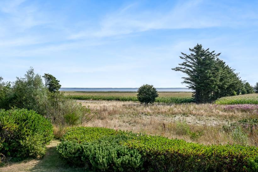 Foto von Ferienhaus TG17 in Fjand - Westjütland