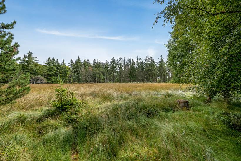 Foto von Ferienhaus TG86 in Vejers Strand - Westjütland