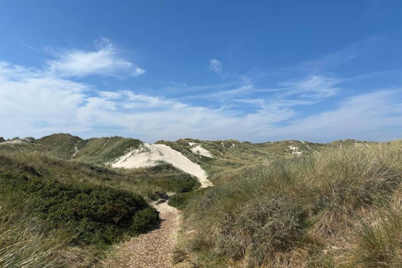 Foto von Ferienhaus TG86 in Vejers Strand - Westjütland